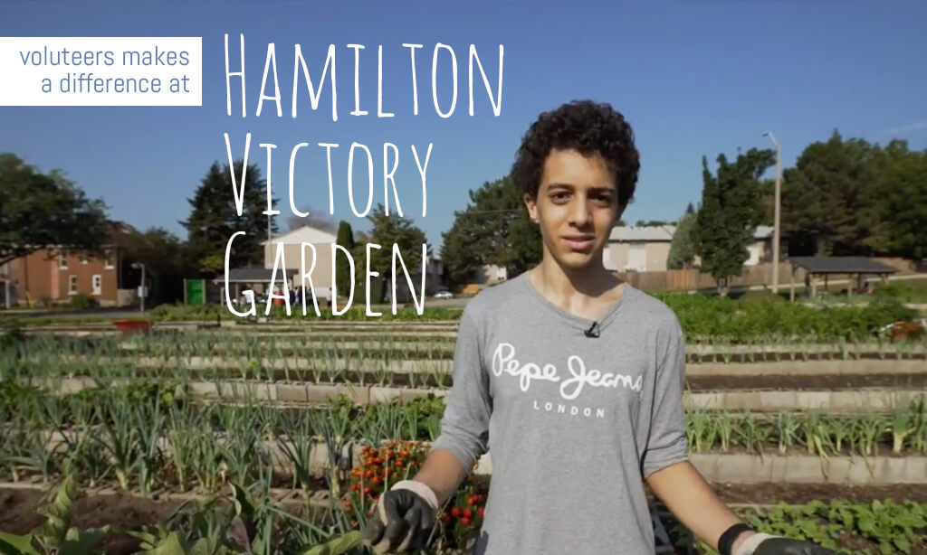 Volunteers Make A Difference at Hamilton Victory Garden